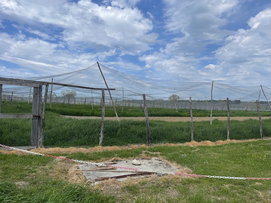 Volière agricole destinée à accueillir un projet agrivoltaïque